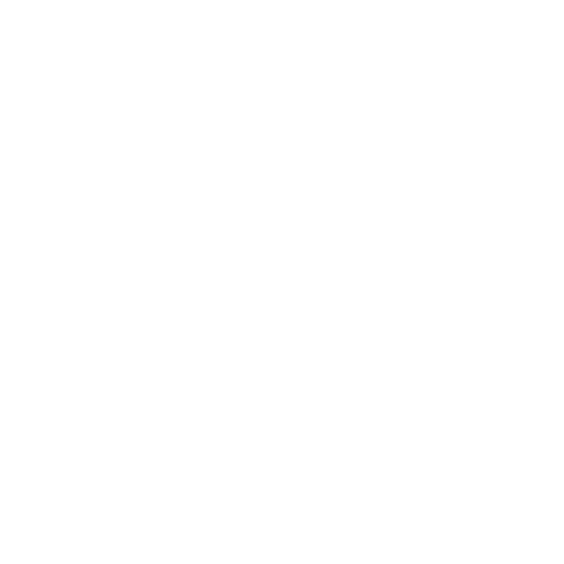 Social Icon